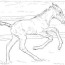 realistic bucking foal coloring page