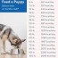 puppy feeding guide how much to feed a
