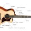 how to choose your acoustic guitar