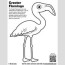 greater flamingo color page fun free