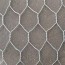 ss chicken wire mesh rs 200 square