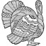 detailed turkey advanced coloring page
