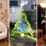 36 creative diy christmas decorations