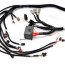 wired harness amphenol global