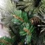 carolina pine tree review