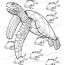 free sea turtle coloring pages