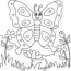 butterfly coloring page vector art