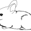 bunny coloring pages for free