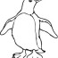 free penguin printable coloring pages