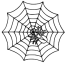 spiders coloring pages coloring cool