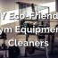 diy eco friendly gym equipment cleaners