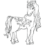 horse and foal colouring pages