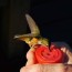 20 diy hummingbird feeder ideas