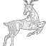 bohemian running deer isolated vector image