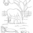 printable horse coloring pages for you