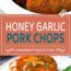 honey garlic pork chops slow cooker