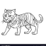 cartoon cute tiger coloring page