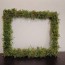 12 easy craft ideas using moss