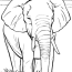 14 elephant coloring pages for kids