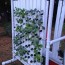 homemade vertical hydroponic garden