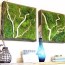 17 beautiful moss wall ideas for your home