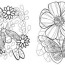 coloring pages flowers and insects by