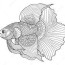premium vector betta fish coloring