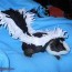 diy guinea pig skunk costume petdiys com