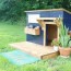 diy dog house plans anyone can build