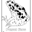 free rainforest animals coloring pages