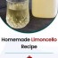homemade limoncello recipe copy