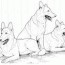 coloring pages siberian husky clip