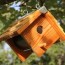 wooden bird box easy diy birdhouse