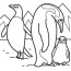 penguin coloring pages preschool