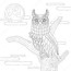 lovely owl coloring page stock vector