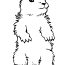 printable coloring pages of groundhogs