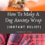 how to make a dog anxiety wrap the whoot
