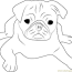 cute pug face coloring page for kids