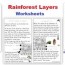 rainforest unit 75 page packet