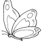 butterfly 5 coloring pages butterfly