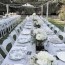 ideas to personalize a wedding