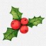 common holly christmas decoration