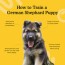 how to train a german shepherd puppy 8