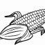 cob coloring page fresh corn drawing