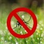 essential oils for mosquito repellent