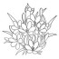 free printable flowers coloring pages