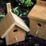 diy easy greenroof birdhouses our