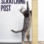 diy cat scratching post dream a