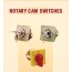 rotary cam switches