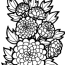 flowers coloring pages 80 beautiful
